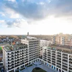 Deluxe 3br With Spectacular Views Ostende
